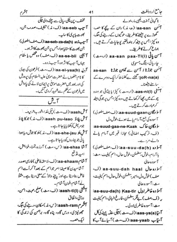 order online urdu dictionary