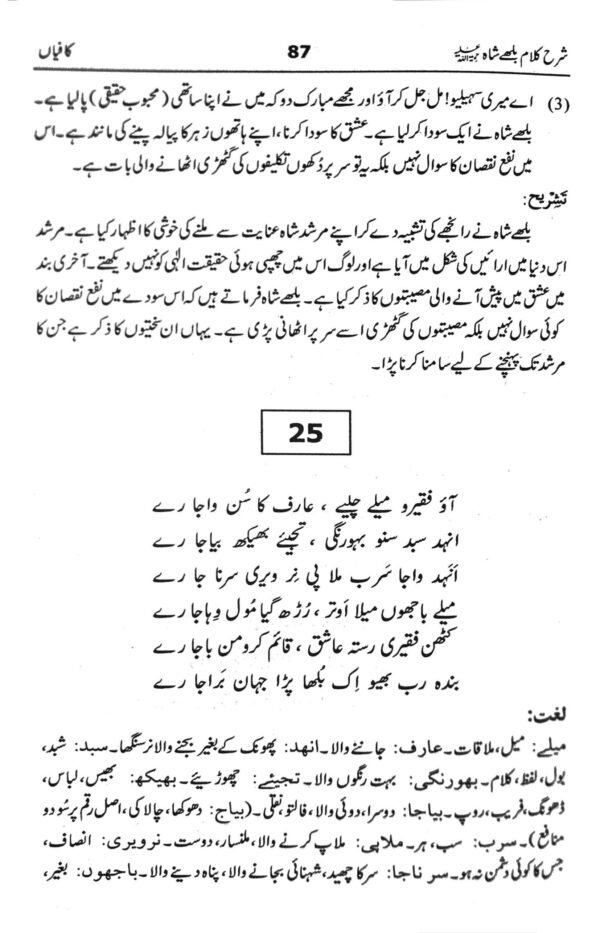 Hameedullah Hashmi urdu Book