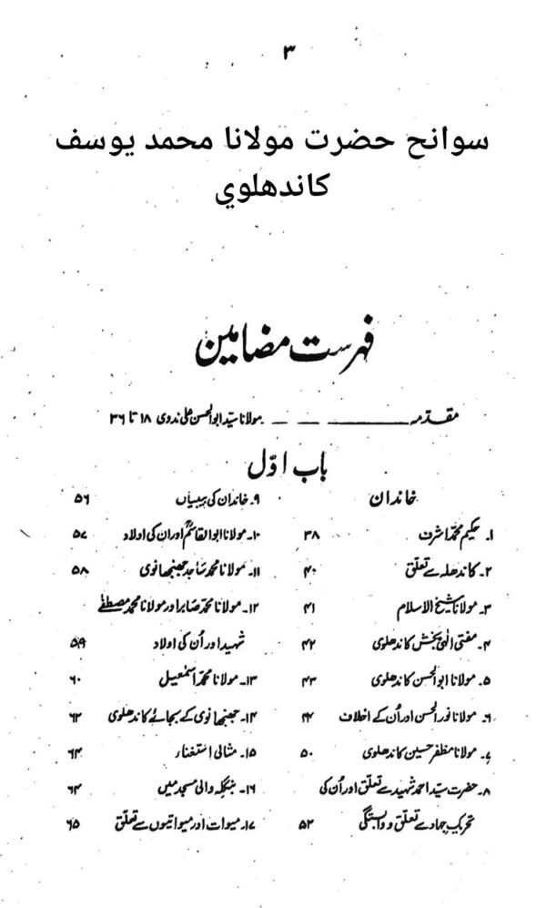سوانح حضرت مولانا محمد یوسف کاندھلوی