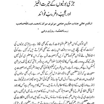جڑی بوٹیاں اور انکے عجیب وغریب فوائد