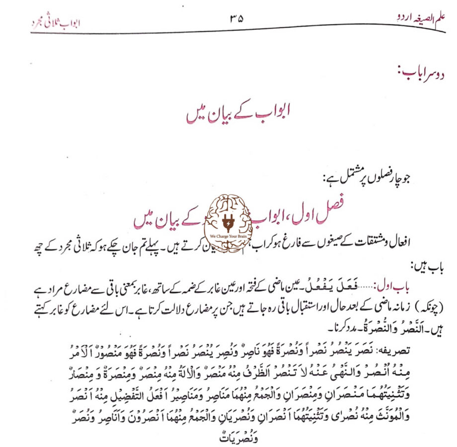 علم الصیغۃ (اردو)