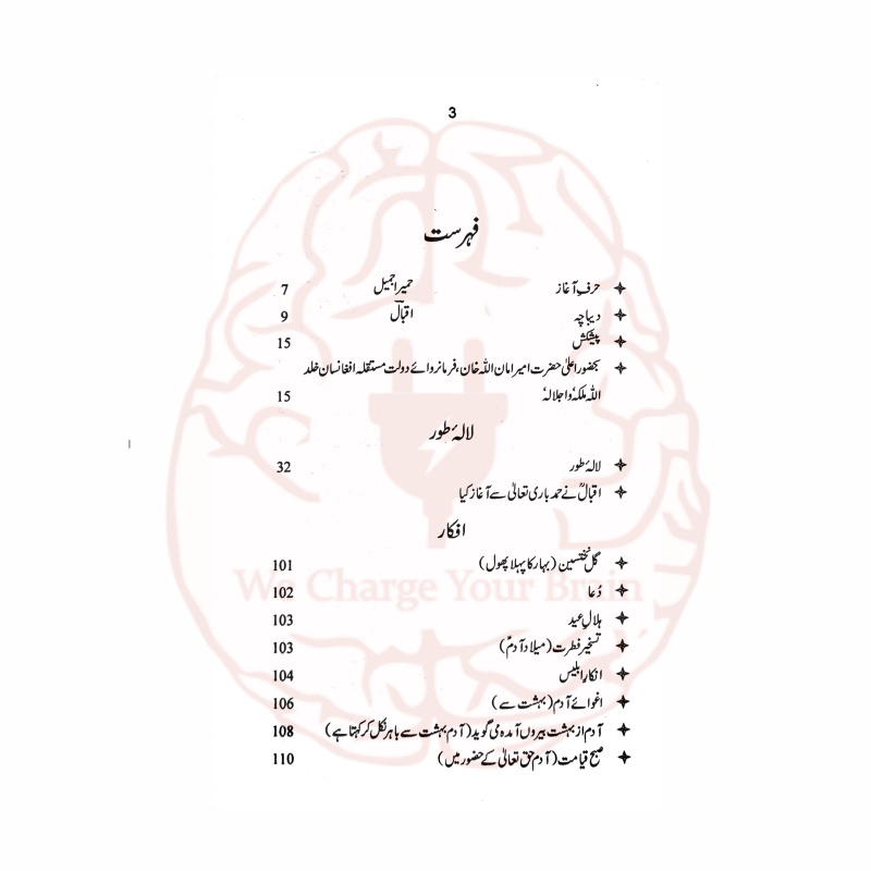 تفہیمات پیام مشرق – علامہ اقبال کی شاعری کی تشریح اور تفصیل از حمیرا جمیل