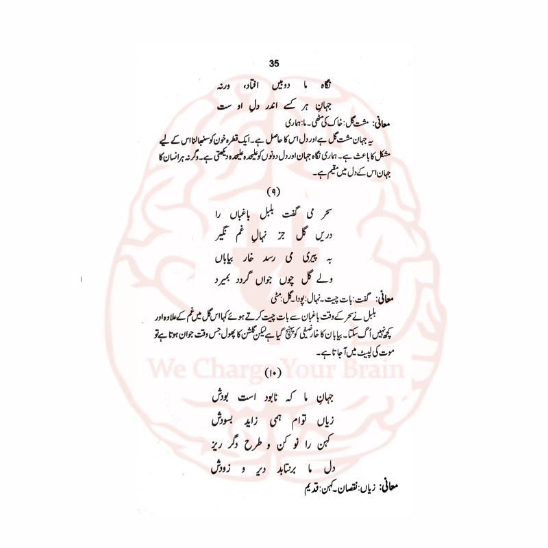 تفہیمات پیام مشرق – علامہ اقبال کی شاعری کی تشریح اور تفصیل از حمیرا جمیل