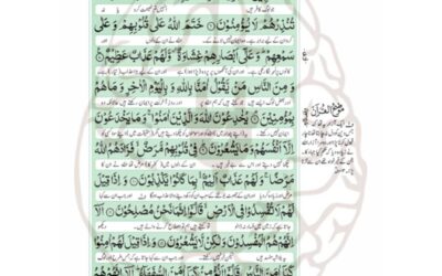 رسوم کی مخالفت کرنے والا ولی اور خدا کا مقبول بندہ ہے