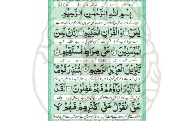 قصدِ عدم ایذا کا اہتمام