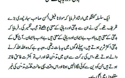 بدعتی اور وہابی کے معنی