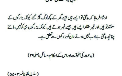 اہلِ بدعت کی مثال