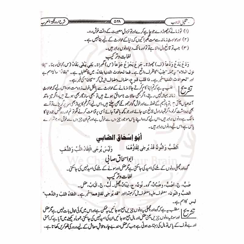 تکمیل الادب – نفحۃ العرب کی آسان اور تحقیقی شرح برائے درس نظامی