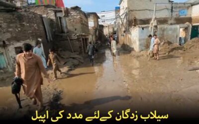پاکستان میں سیلاب کی تباہ کاریاں — 1 کڑی حقیقت