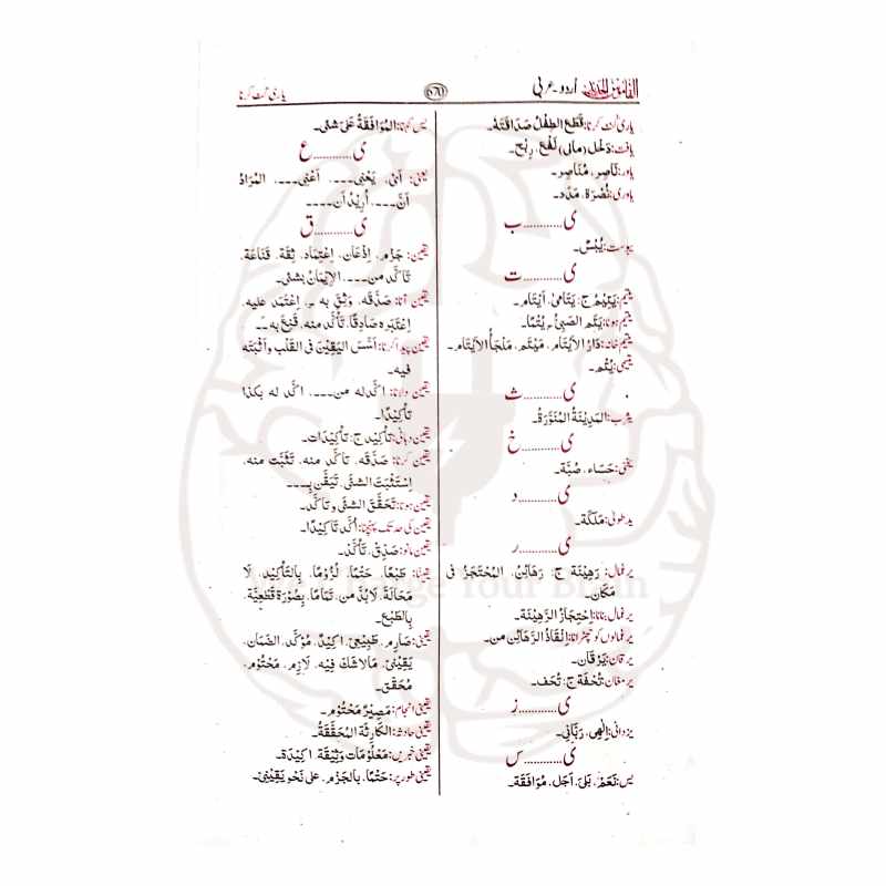 القاموس الجدید اردو عربی لغت