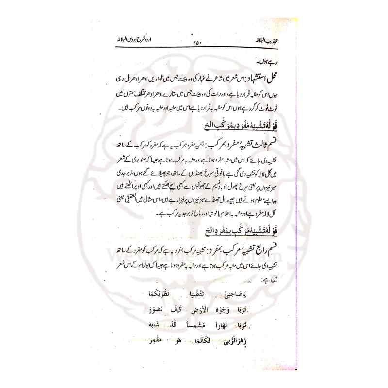 تہذیب البلاغۃ شرح دروس البلاغۃ علمِ بلاغت کی جامع اردو شرح ہے جو اعراب، تشریح اور درسی سوالات کے حل کے ساتھ مکمل رہنمائی فراہم کرتی ہے۔