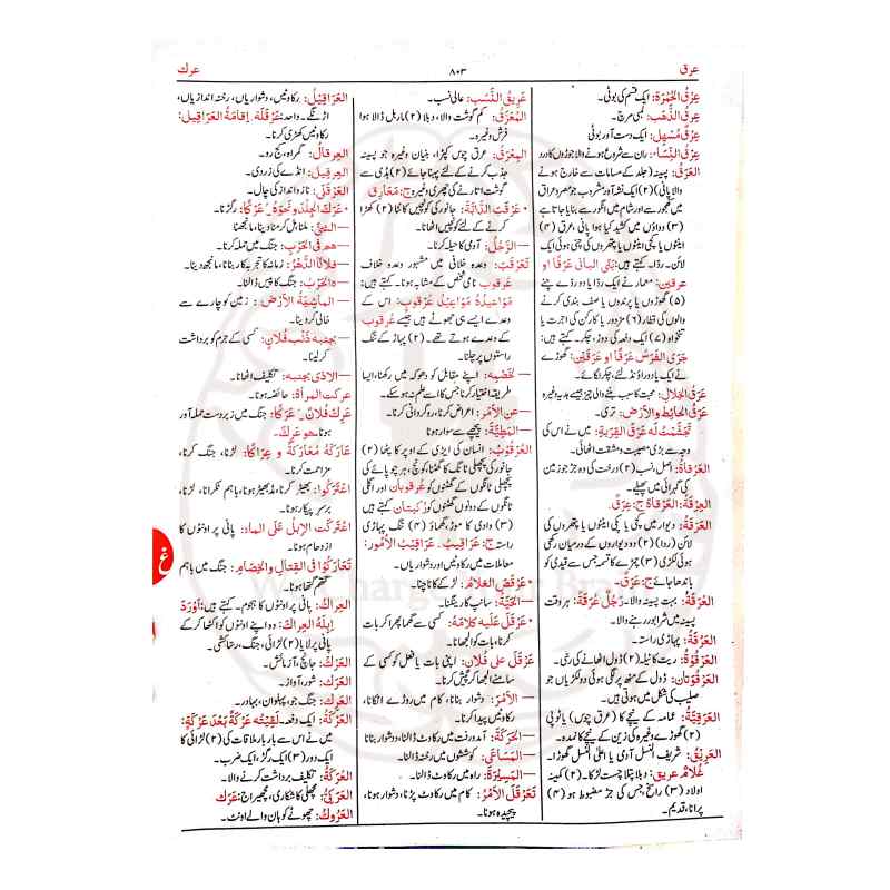 القاموس الوحید عربی سے اردو لغت