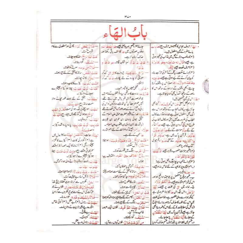 القاموس الوحید عربی سے اردو لغت
