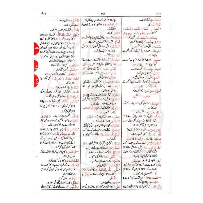 القاموس الوحید عربی سے اردو لغت