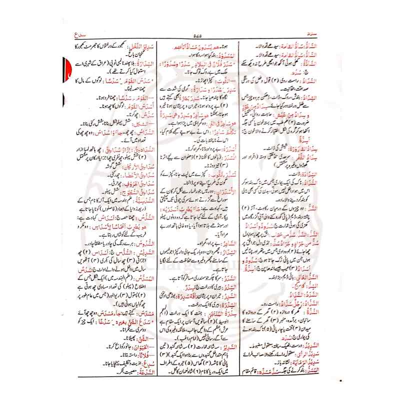 القاموس الوحید عربی سے اردو لغت