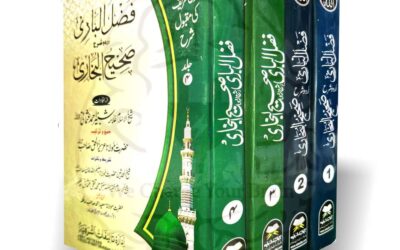 سلوک شروع کرنے سے پہلے شیخ کی خدمت میں رہنا مناسب ہے