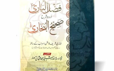 شیخ محض واسطہ فیض ہے
